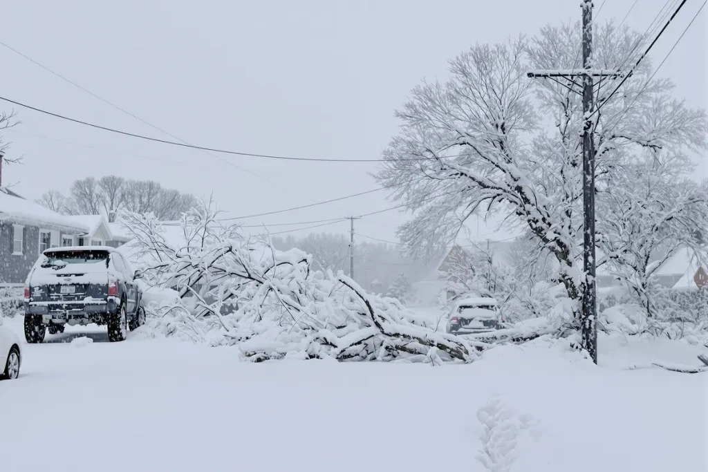 Winter storm warning: up to 60" of snow, power outages and travel chaos ...